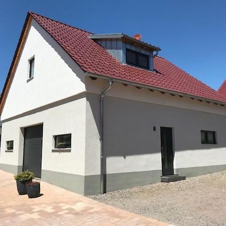Apartament Fewo Stubenhocker Pleisweiler-Oberhofen Zewnętrze zdjęcie