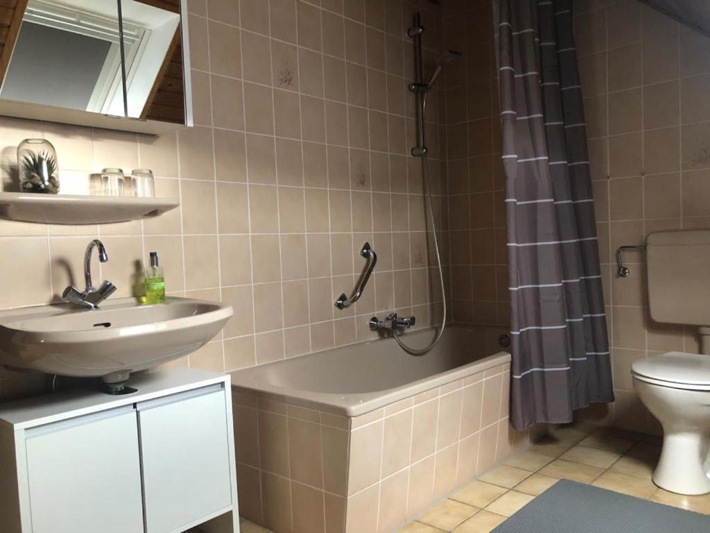 Apartament Fewo Stubenhocker Pleisweiler-Oberhofen Zewnętrze zdjęcie